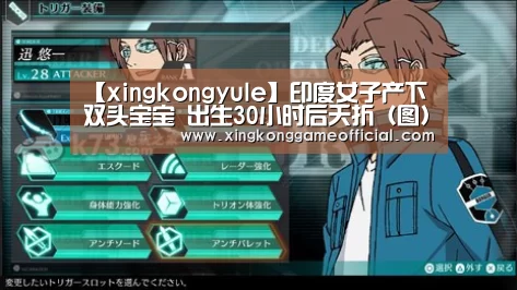 星空娱乐官方下载