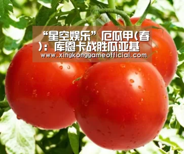 “星空娱乐”厄瓜甲(春): 库恩卡战胜瓜亚基尔城 比分2:0(图2) “星空娱乐”厄瓜甲(春): 库恩卡战胜瓜亚基尔城 比分2:0(图2)